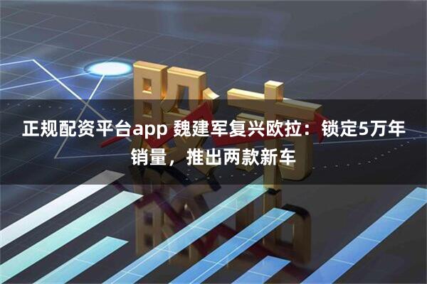 正规配资平台app 魏建军复兴欧拉：锁定5万年销量，推出两款新车